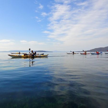 达特茅斯汽车旅馆 Dartmouth 外观 照片
